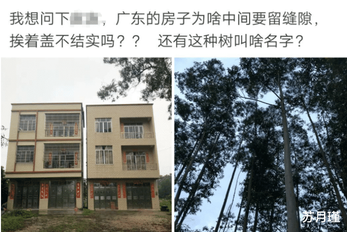 广东省|“广东的房子为什么中间要留缝隙？挨着盖不结实吗？”