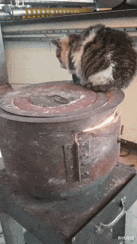 酒店卫生间开始有这种椅子了？这是用来干什么的？