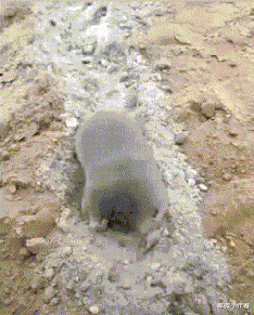  三星离开中国还是世界第一，是中国市场不重要？网友：好像地球不转了