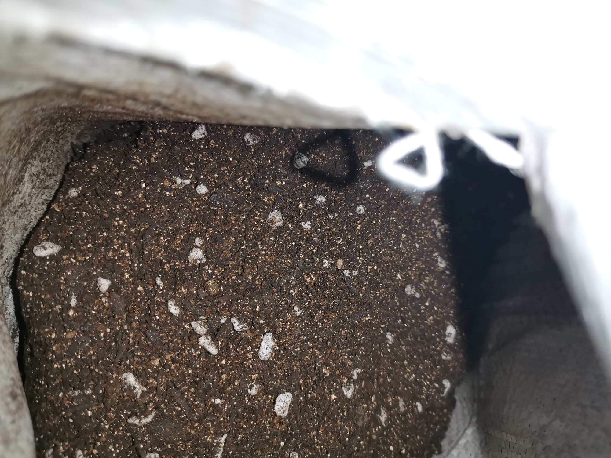 四楼80㎡荒废露台，DIY打造空中小花园，成了朋友们聚会的打卡地