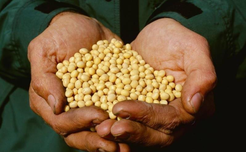 练肌铁三角|14男孩身高突破178,儿科医生:3物或是身高“拉长剂”,建议多吃