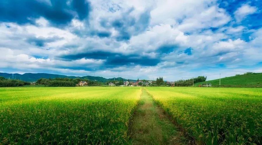 普法小杰 2021年福建省莆田市城厢区最新拆迁信息！这些地方要拆迁啦！