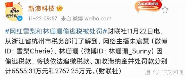 九龙城寨|8亿的范冰冰、13亿的薇娅,为何却只有案额千万的刘晓庆要坐牢?