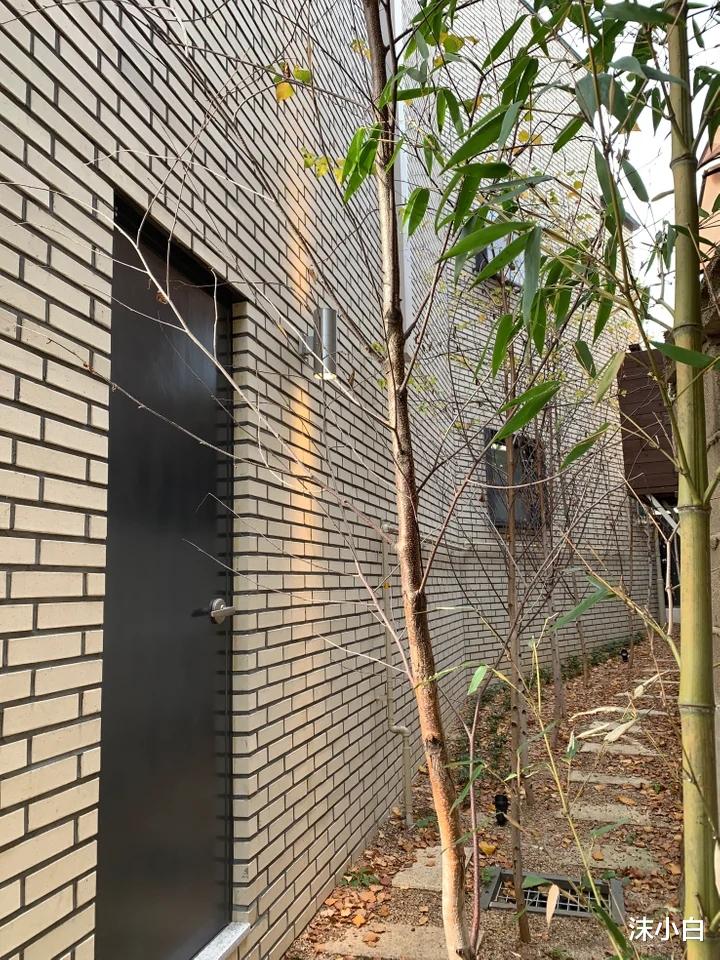 小三|远嫁韩国，执着于110㎡的小三层：城中幽静的小巷子，爽快极了