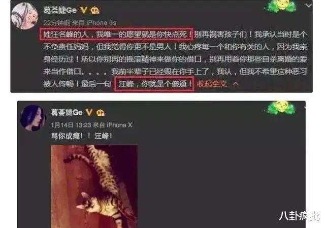 王力宏|汪峰章子怡退股的瓜