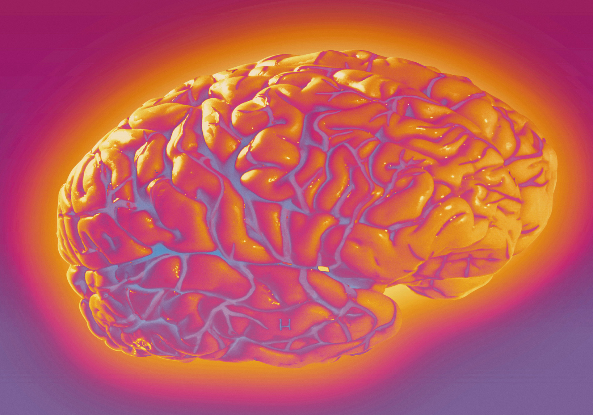  大脑在哪个节点开始变得更加节能，找到他，意味着成功了一半。