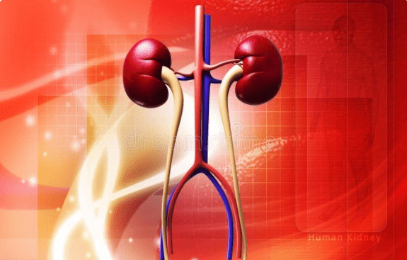 肾病之友|肾病有4种情况已相当严重！不想太快尿毒症，这些抢救措施要跟上