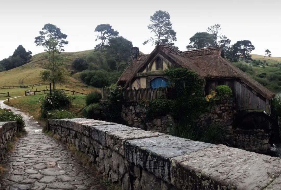 |2022年，桃花环绕，红娘帮扶，爱情将顺心如意，幸福无忧的星座