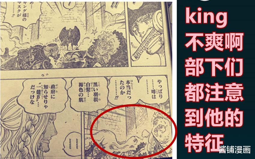 凱多|海賊王1035話，King側臉有特殊圖騰，他是凱多的第一個好伙伴