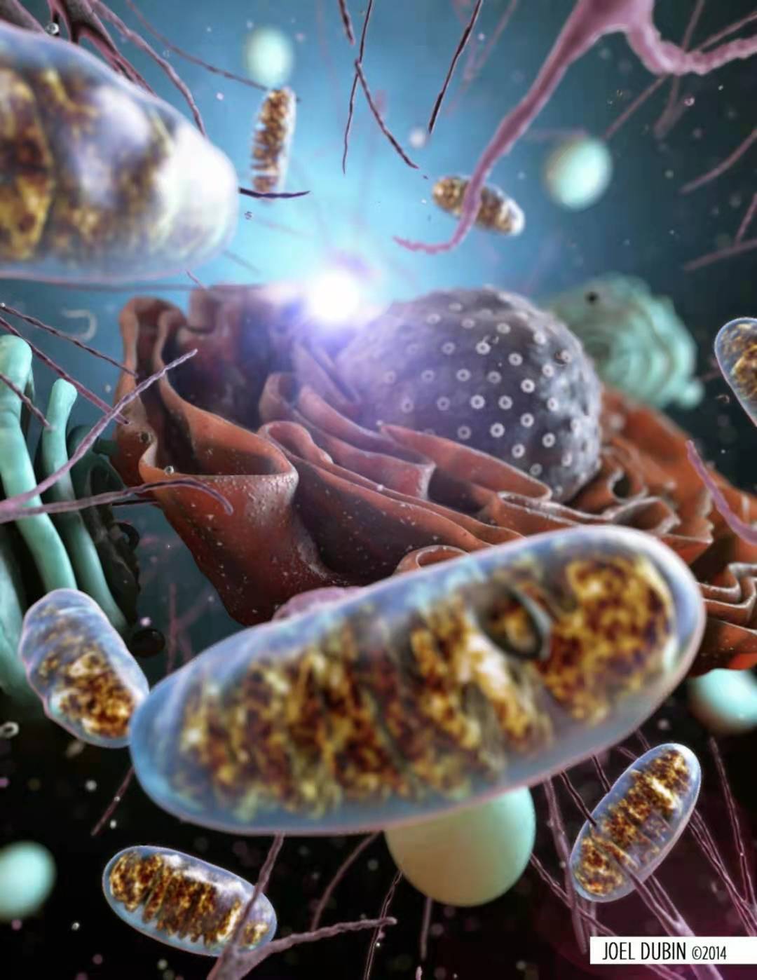 科学家|人类的身体来自父母，那意识从哪里来，事实可能和我们想象的不一样
