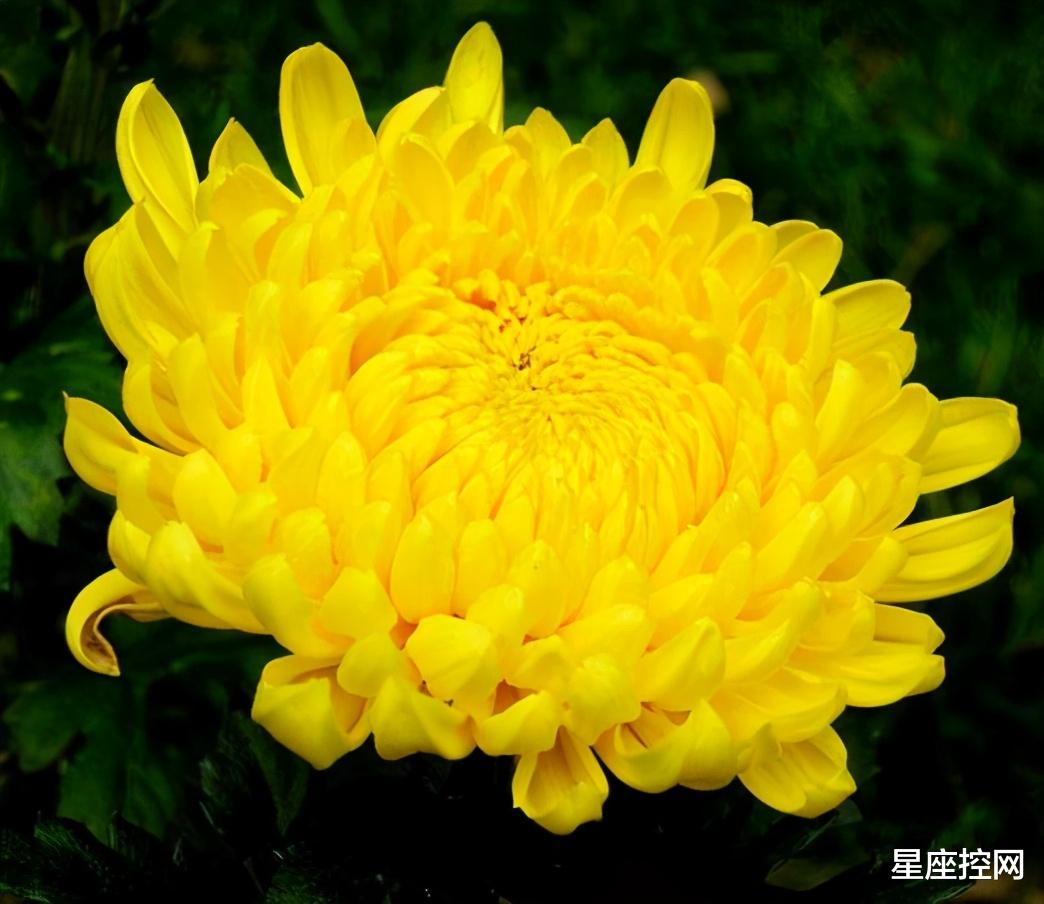 地下城与勇士|啥日子出生，总感觉自己穷途末路，其实柳暗花明，未来潜力大