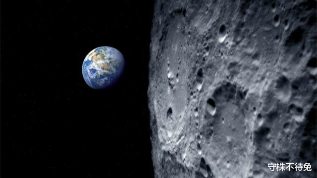 守株不待兔|有趣的18个冷知识，企鹅抱团取暖时，外层的企鹅为什么不会冻死