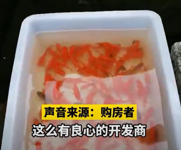 烂尾楼|开发商停工跑路，业主在烂尾楼办养鱼场抗议：把房款挣回来！