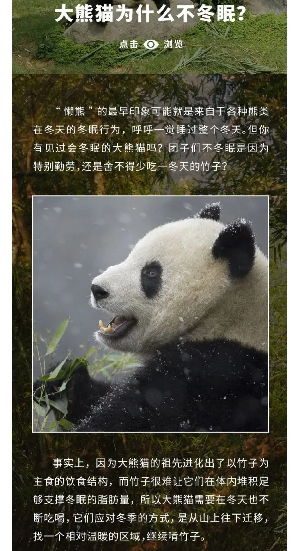 |有肚腩的男人比较体贴