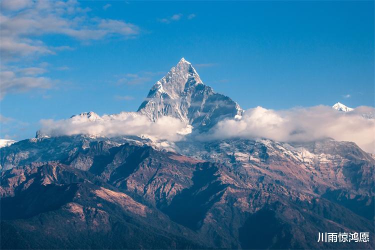 生肖|三大生肖精力旺盛，上半年艰难，下半年渐入佳境