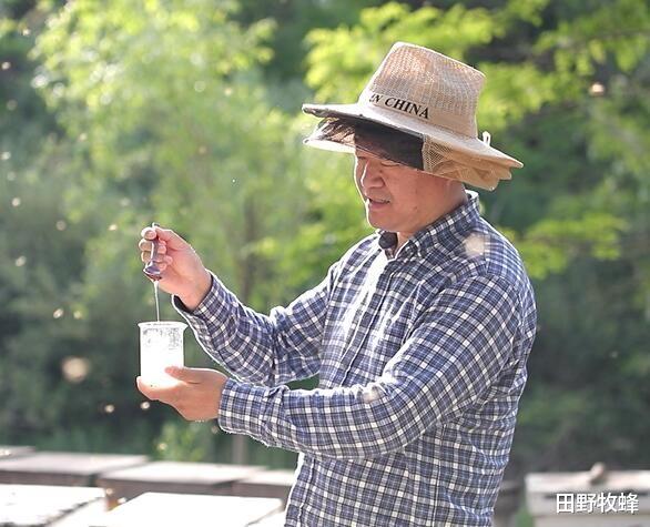 田野牧蜂|可以用蜂蜜做花生糖吗? 花生糖的做法加蜂蜜?