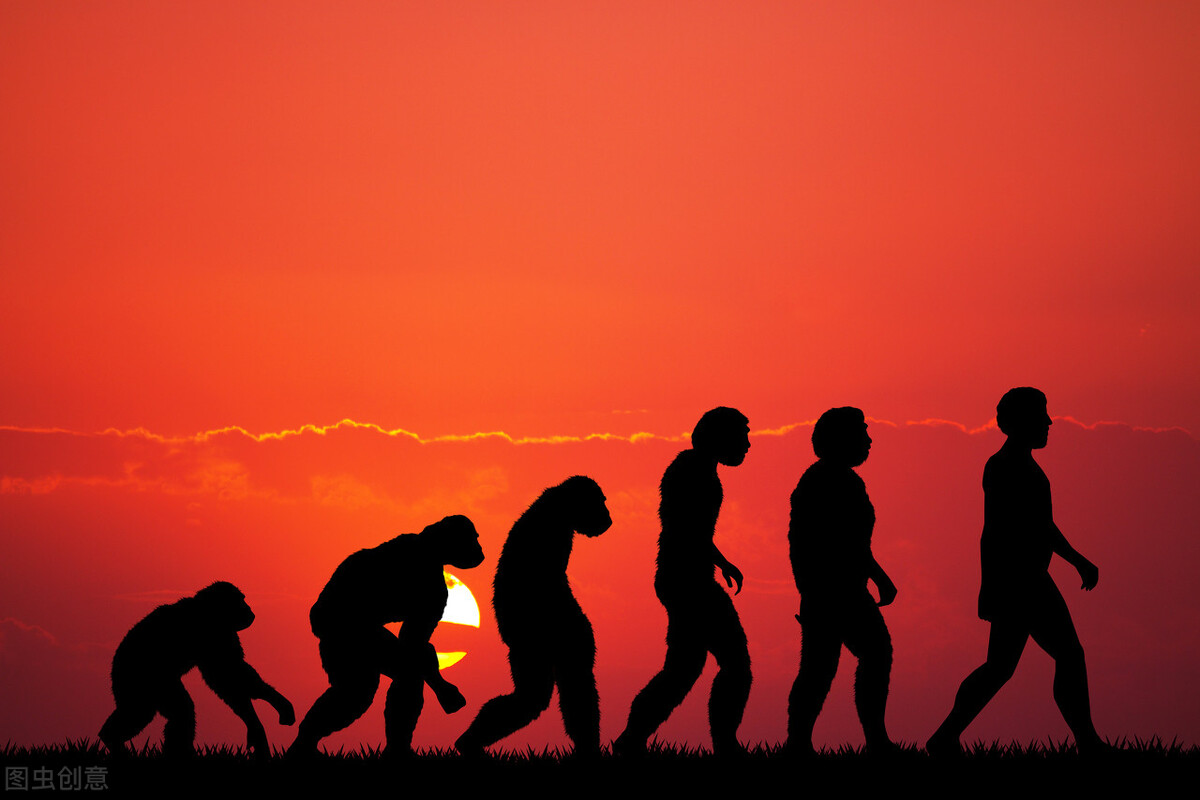 基因 地球上最初没有人，第一个人是如何来的？先有男人还是女人？