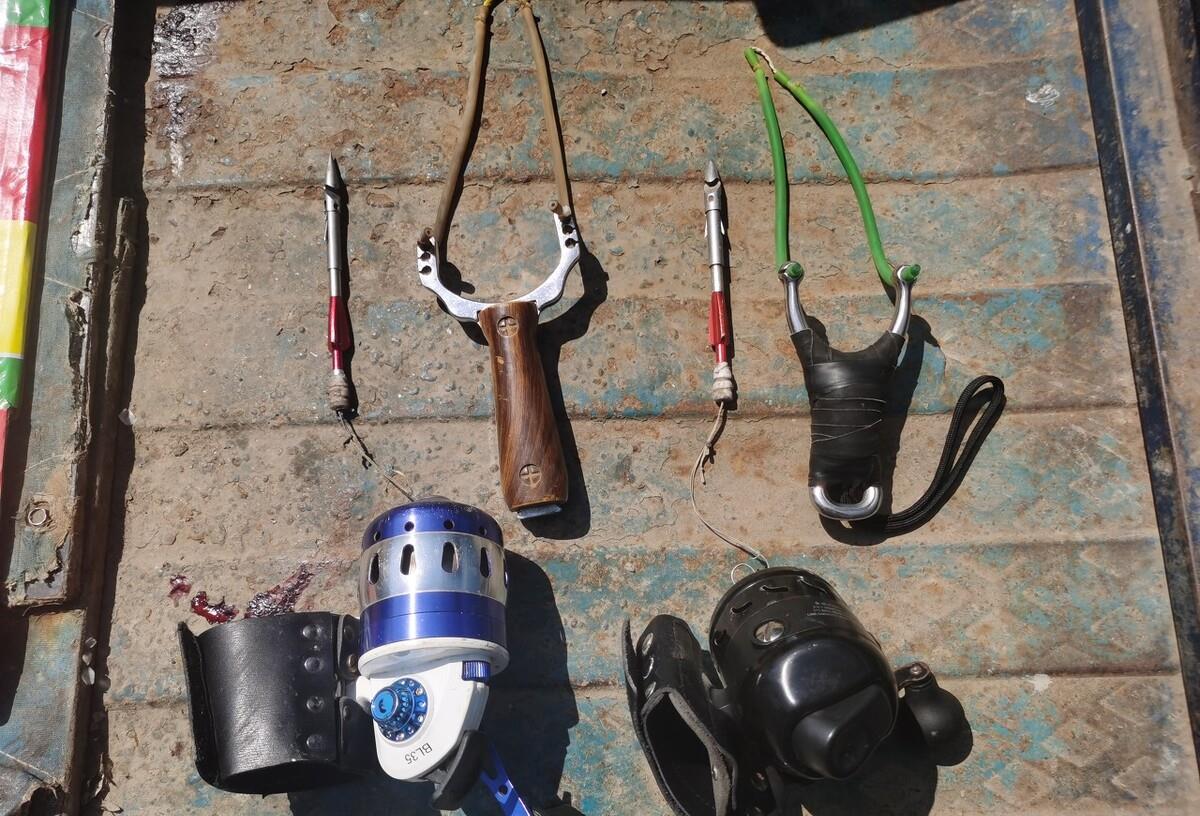 长江|钓了10条鱼，被拘役3个月，还罚款将近30000元，侥幸心理不能有