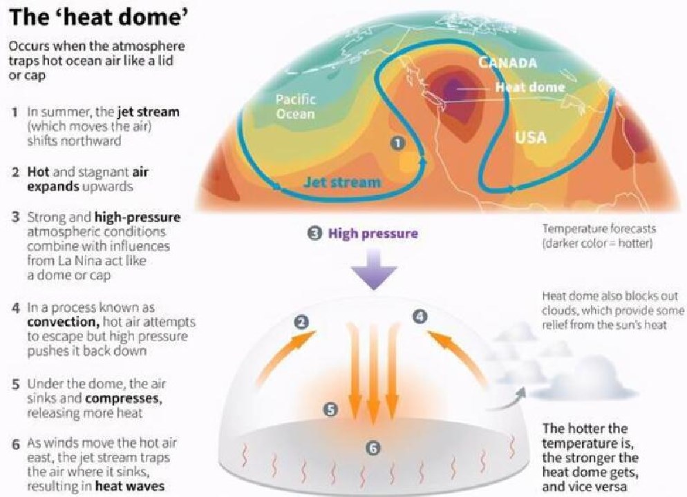 白蚁 高温热浪席卷全球，科威特气温突破3℃，霍金预言难道要成真？