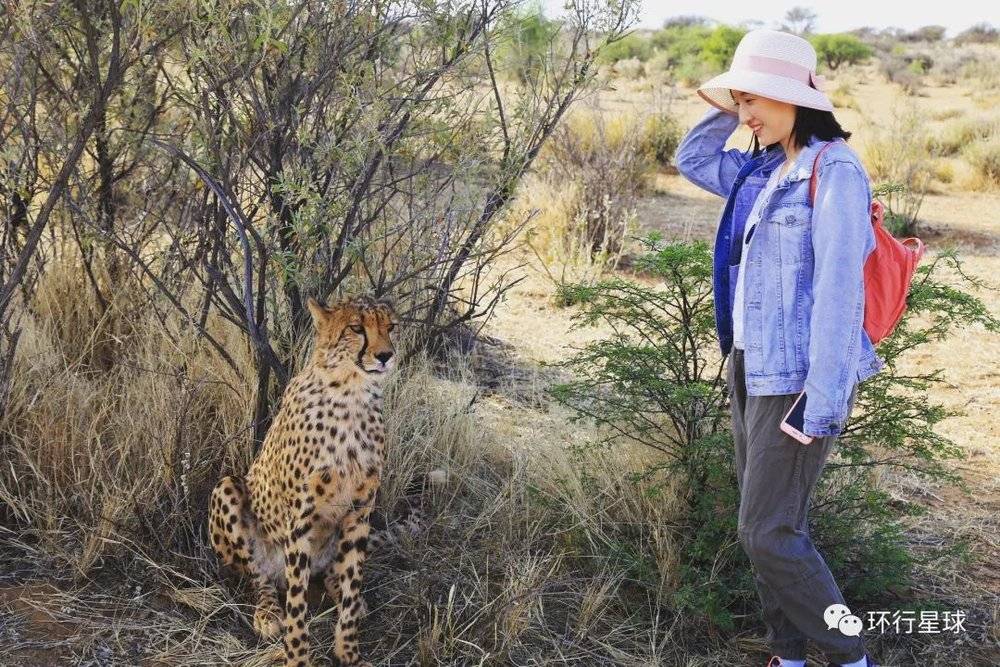 非洲 我在非洲工作这6年：年轻人，你真的要来吗？