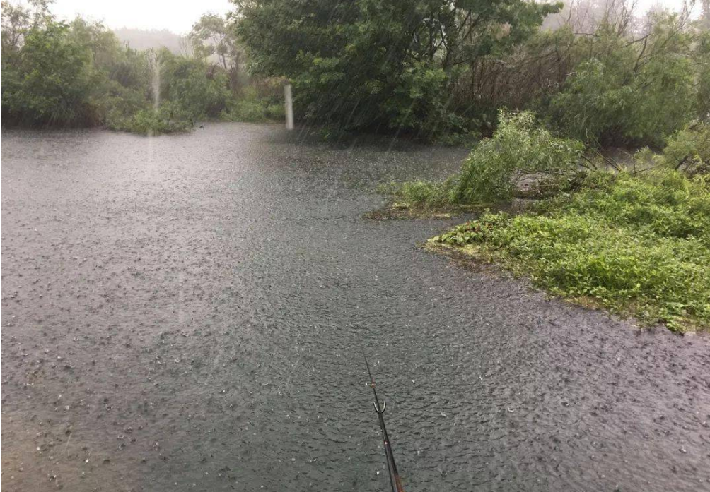 民警|仲春一到,鲫鱼反而不好钓?老司机说出了其中的奥妙:不该钓底