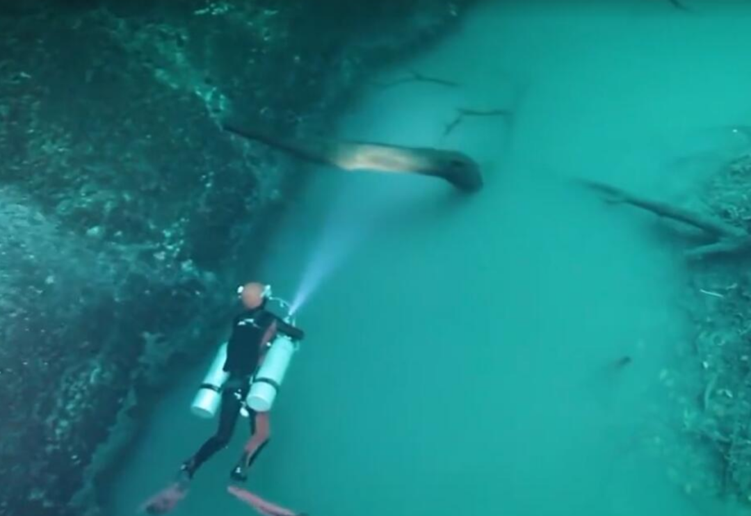 马里亚纳海沟 下潜到11000米深的马里亚纳海沟，究竟有多危险？九死一生