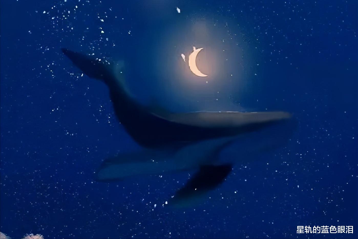 星座 赚钱能力很强的星座，幸运指数很高，贵人很多，最会用钱生钱