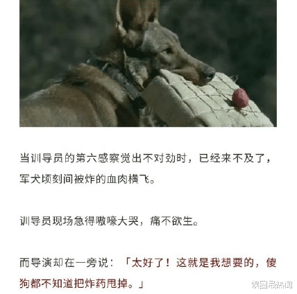 刘涛|赵丽颖新剧官宣，央视亲自宣传排面大，却被导演“拖后腿”