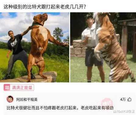 幽默搞笑神回复|神回复：事实证明喝酒可以延续生命，有事实有真相！哈哈哈哈！