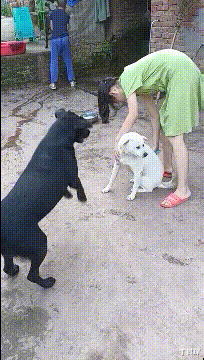 丁其琛|【沙雕问题】：有没有那种听起来就觉得很绝的网名？