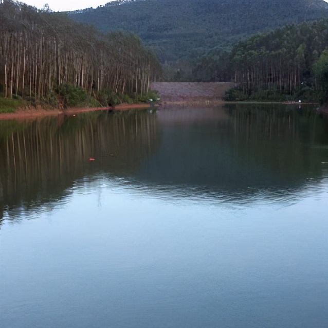 饵料|水库垂钓总没渔获，这些技巧试一试，想要空军都难——盛世三渔
