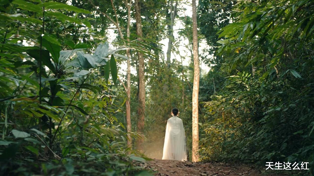 司藤|不花钱点播+主角大方互动+实景拍摄，《司藤》正常得好不习惯！