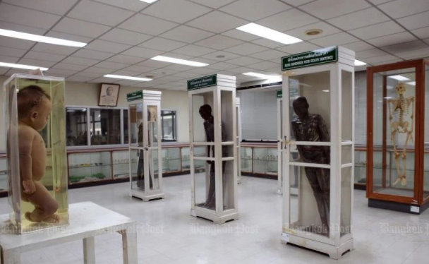 历史咖啡厅 泰国“食人魔”，杀人食内脏为“补身体”，只因童年听信算命先生