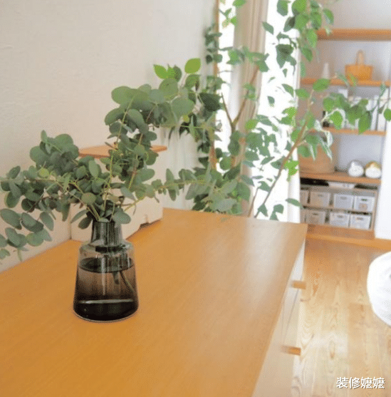 老年小妙招|不懂收纳没关系，照着日本主妇做，家里不再脏乱差，日子干净清爽