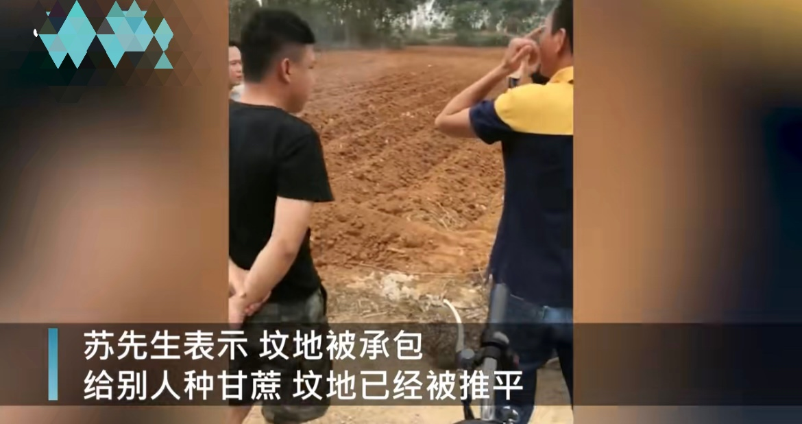 社会热点传播正能量 广西男子扫墓，发现自己3个坟头变为平地，墓地变成了甘蔗地