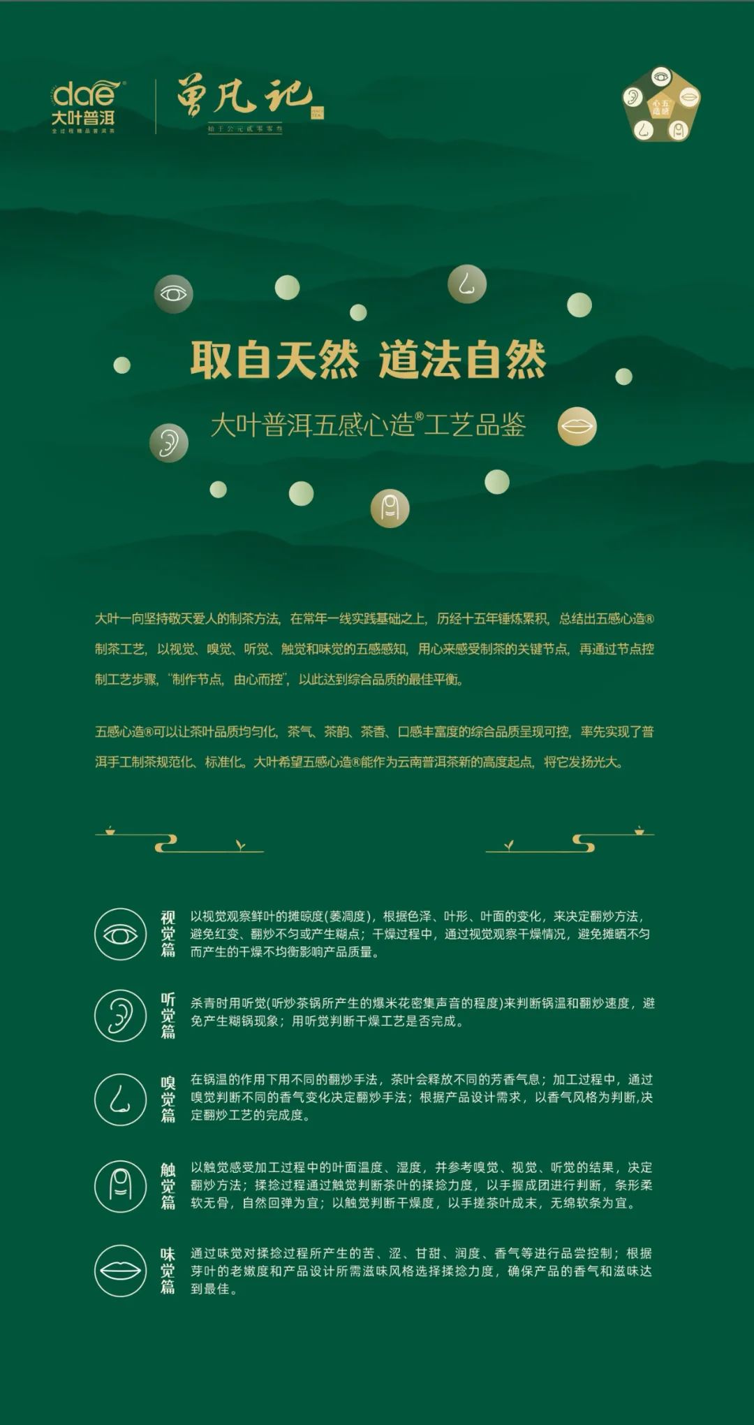 新茶媒 【刀哥说茶】普洱茶手工制茶工艺可不可以有标准?