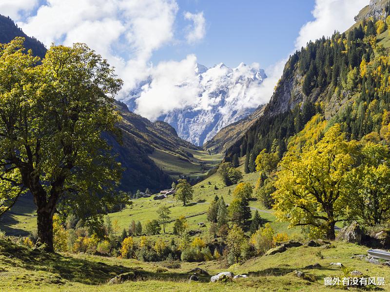 |有机会调任市直正科的县直副科，该如何选择