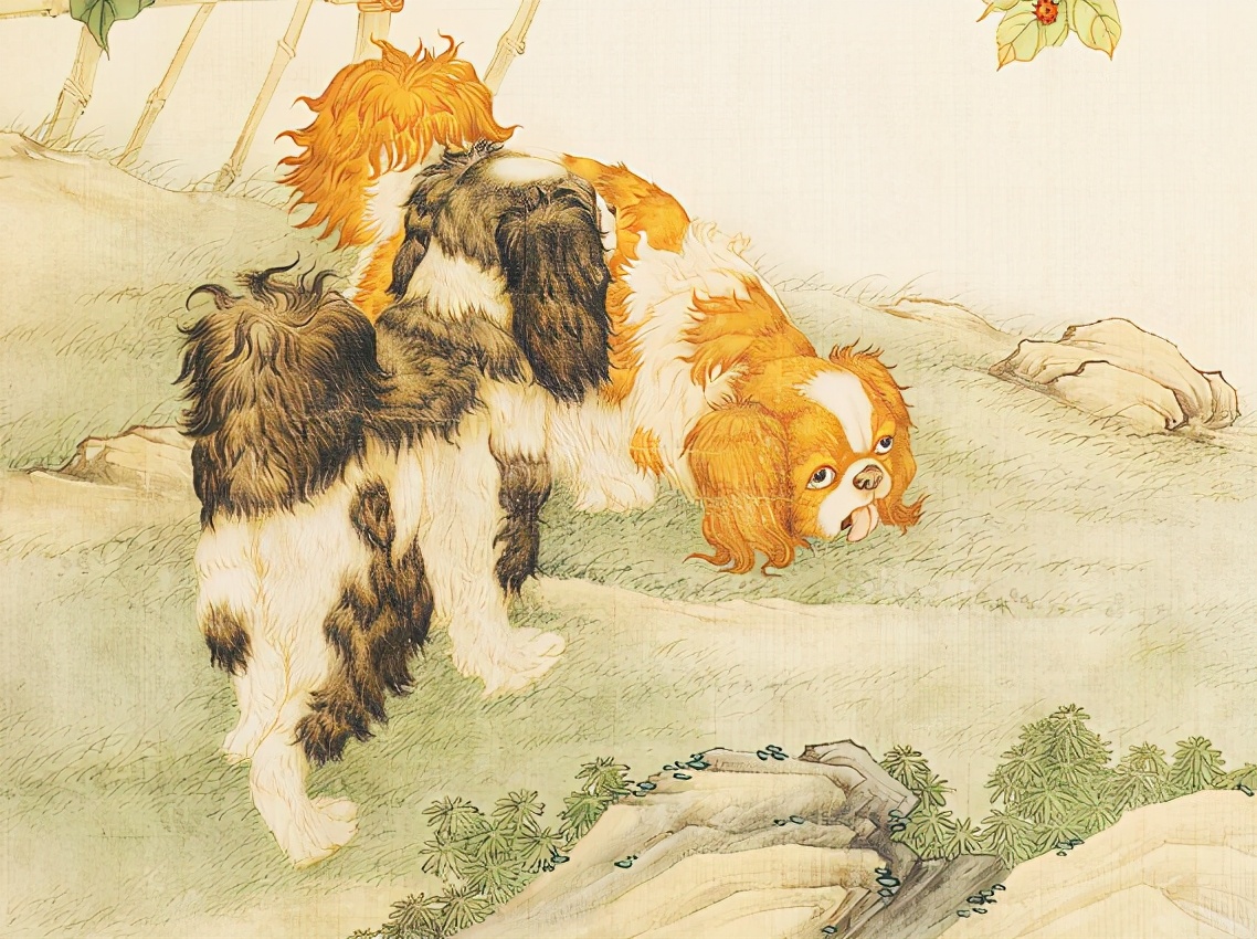 玄何师傅讲命理|属狗人在哪几年，赚钱效率高，财运红透天，一有钱就不再穷