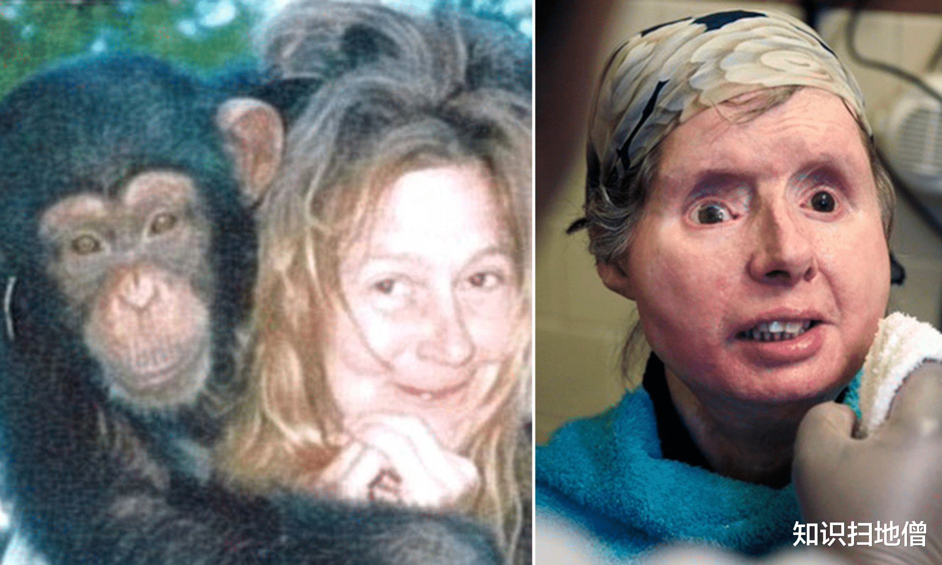 黑猩猩 继吃人、吃猴之后，黑猩猩首次吃大猩猩，科学家：与全球变暖有关