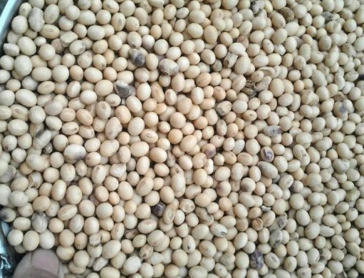 天天听健康 能解毒的“榜首”食物公布了，肝胆科主任：吃一口等于8斤萝卜，饭后敞开吃