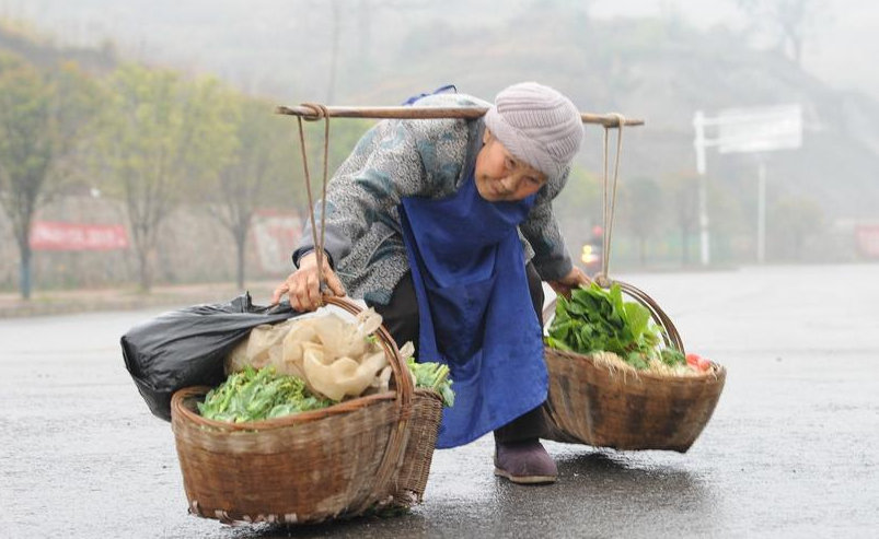 浪子芳华 86岁的农村老奶奶对我说，农村生活太难了，她想到城里去打工扫地