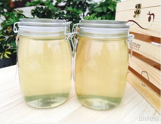 田野牧蜂|晒干的柠檬可以加蜂蜜吗? 柠檬可以加蜂蜜泡水喝吗?