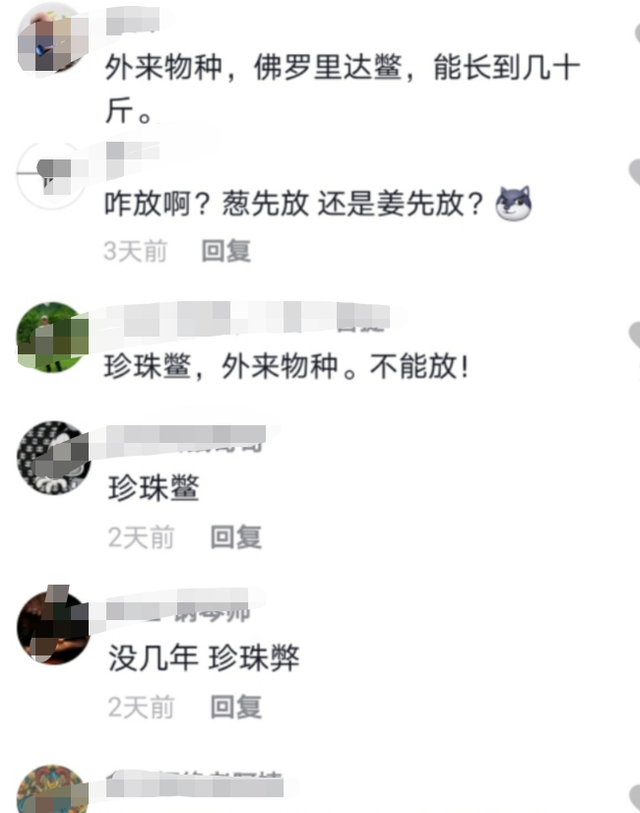 胡小小乖|丹东男子钓起大甲鱼，好心把它放生了，网友：好心却办坏事！
