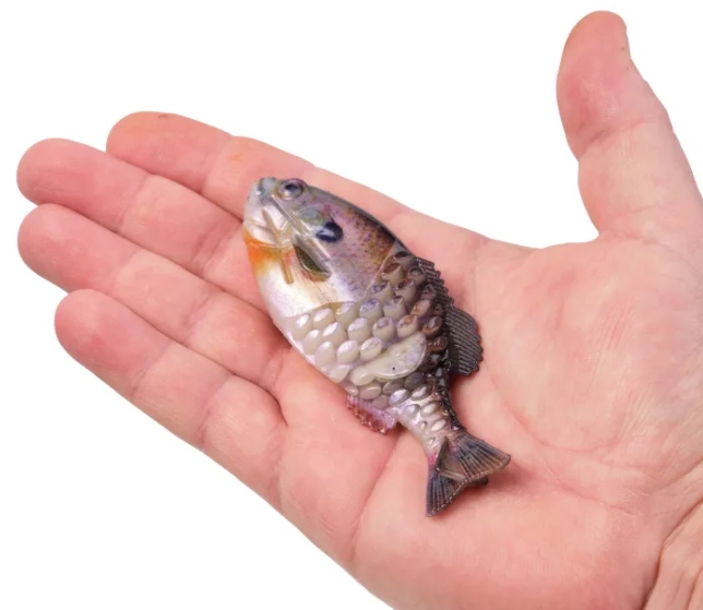 美国|渔具行业盛世不得错过，美国渔具展2021年最佳新品奖项揭晓