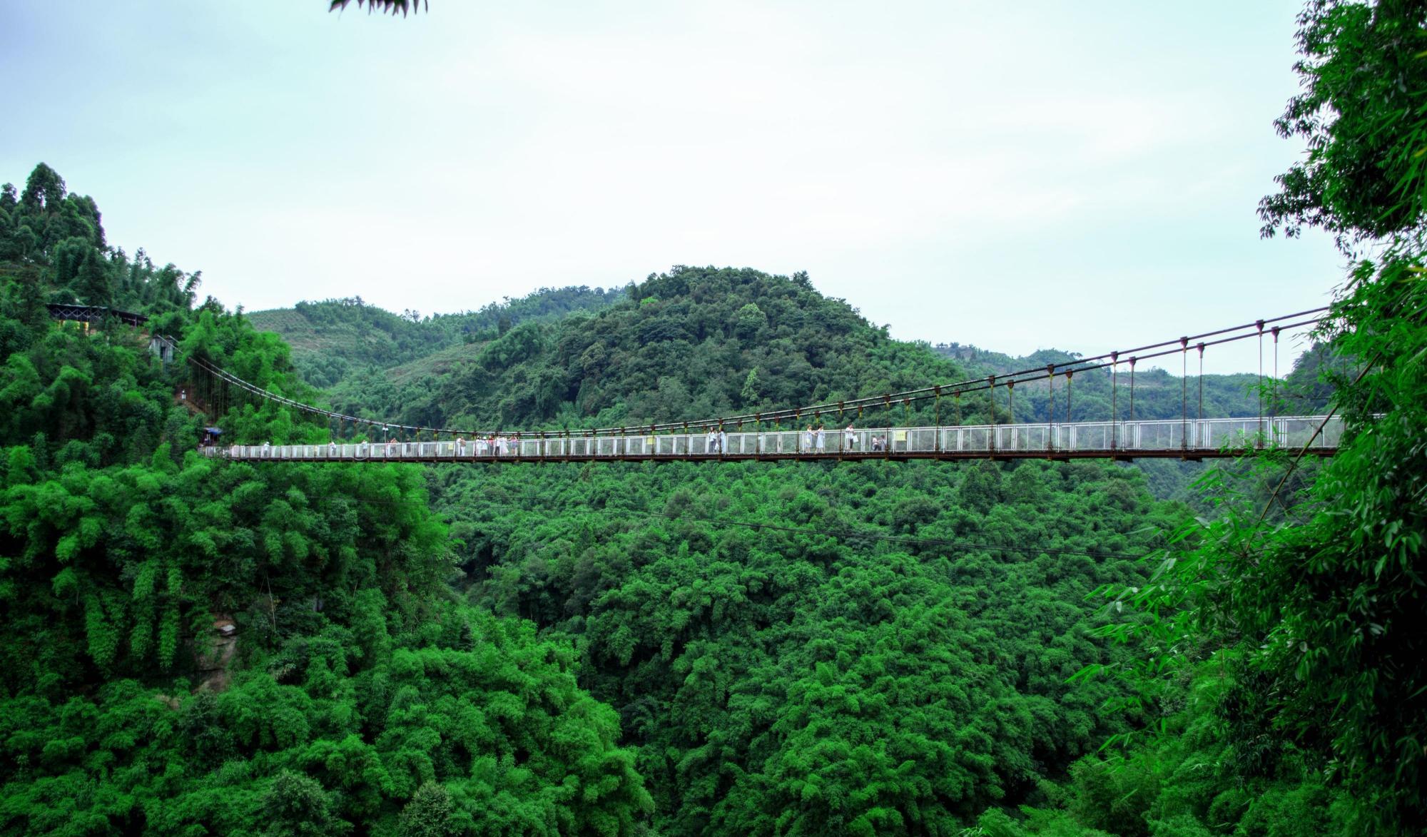 四川省 四川有个冷门竹海景区，景色完全不输蜀南竹海，却少有外地游客