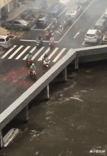 恐龙 已经能预见大家看到恐龙时的表情了，跟天塌下来一样呢