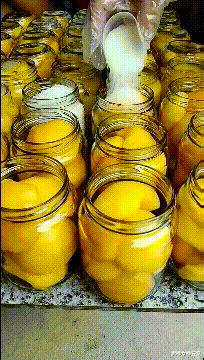 阿庄星座屋|“大姐，坐高铁注意点形象吧，你的亮点都被别人看光了！”哈哈哈哈