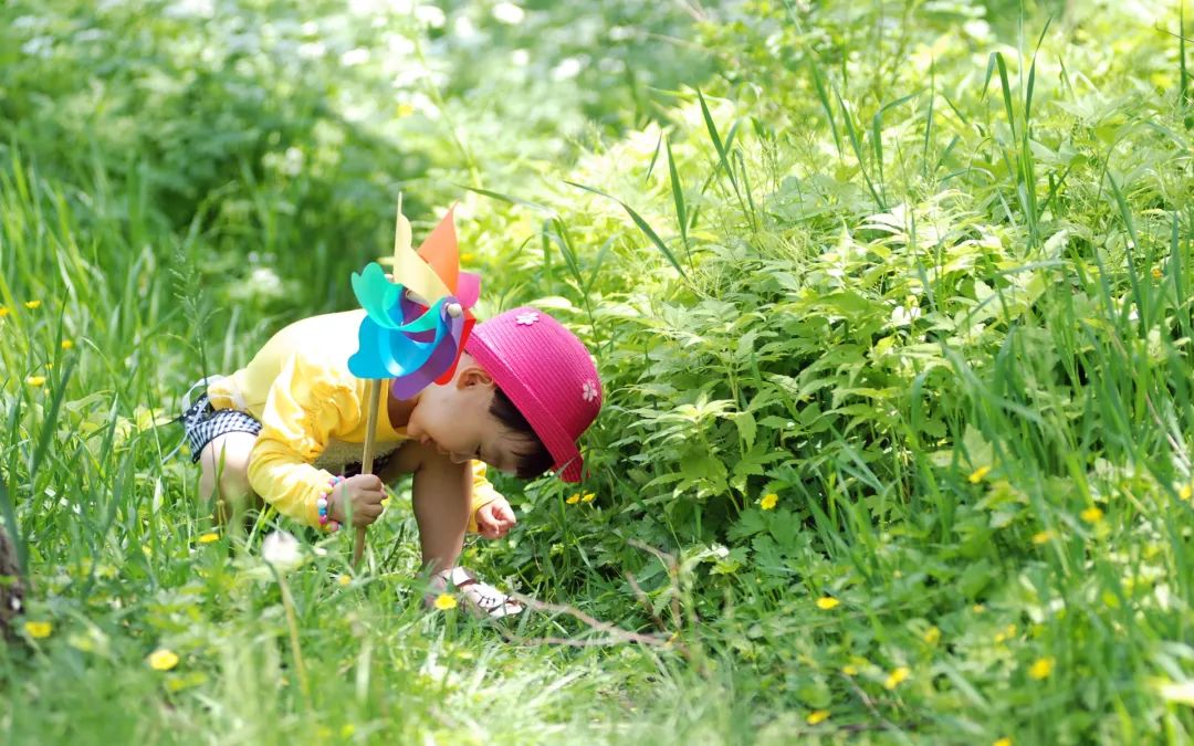 饮食|“管住嘴”、“迈开腿”，还能预防近视？