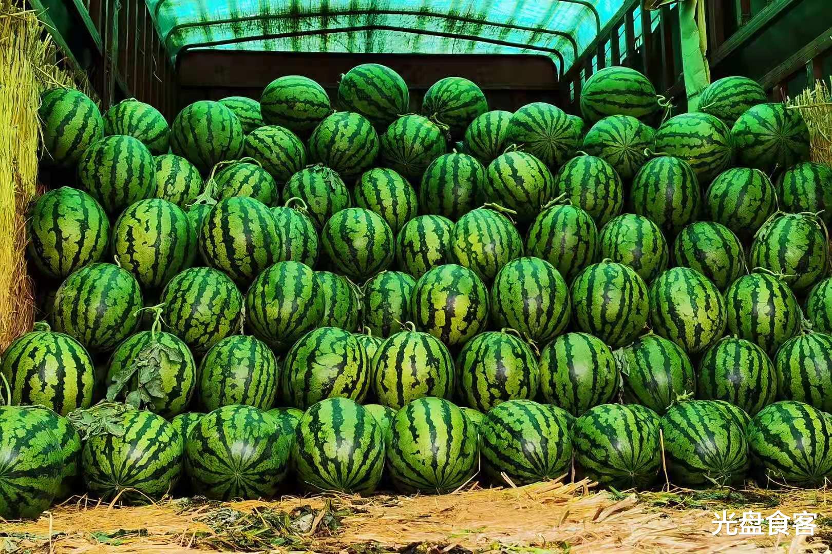 饮食|寒露将至，饮食记得要“吃2白忌1瓜”，顺应时节，家人平安度寒露