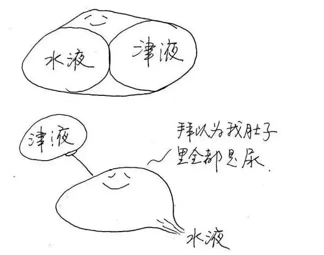 腰肌劳损|人体五行与十二时辰之子午流注（漫画）
